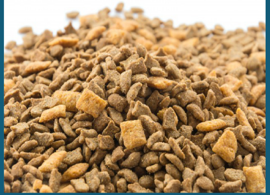 مشروع مستودع  يوفر الأعلاف الحيوانية